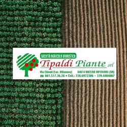 Società Agricola Vivaistica Tipaldi Piante Srl