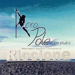 Acropole gym studio Pole Dance