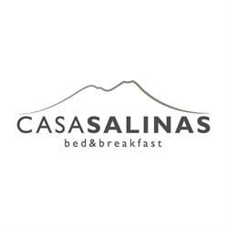 Casa Salinas