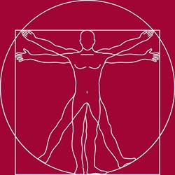 Ergomedica Srl