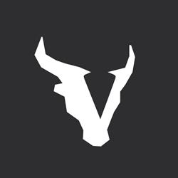 VICTRIX S.R.L.