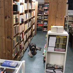 Usatopoli libri usati e rari