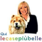 Quilecasepiùbelle