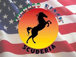 Tornado Ranch Scuderia