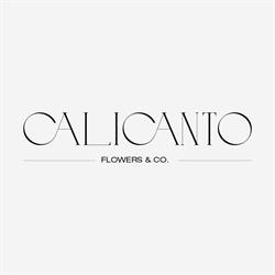 Calicanto Flowers & Co.