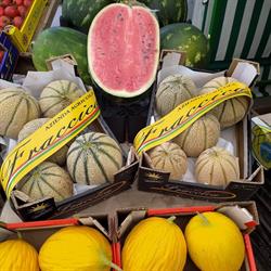 Ortofrutta Carciola