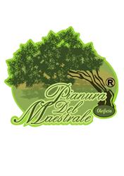 Oleificio Pianura del Maestrale