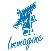 M&F Immagine parrucchieri