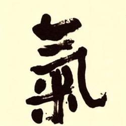 a.s.d. TEN CHI - KI DOJO "Roberto Borsellini" Fossombrone