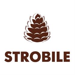 Strobile
