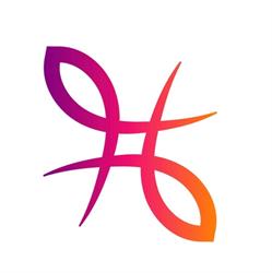 Influencehair Fashion Colorists