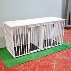 Acanfora Box