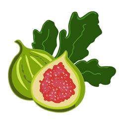 Damianodryfruit