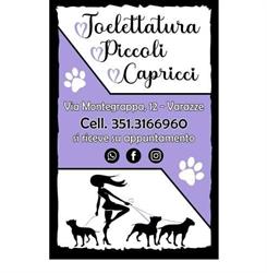 Toelettatura Piccoli Capricci
