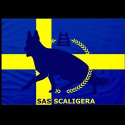 Sas Scaligera