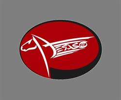 Pegaso88