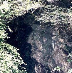 Il Bosco del Gigante - percorso naturalistico