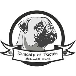 Allevamento Bullmastiff Dynasty of Naonis