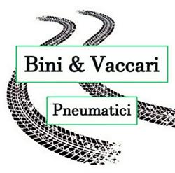 Bini & Vaccari Pneumatici S.A.S di Vaccari Daniele & C.
