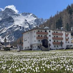 Hotel Bambi