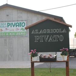 Azienda agricola Pivato