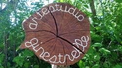 Arte Studio Ginestrelle