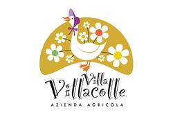 Azienda agricola Villa Villacolle