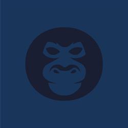 Kong Experience