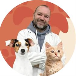 Dott. Ferrari Adriano - Nutrizionista per Cani e gatti