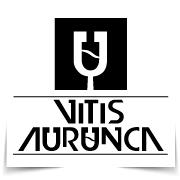 Vitis Aurunca