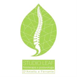 Studio Leaf