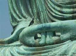 Corso di Meditazione