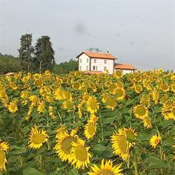 La collinetta B&B