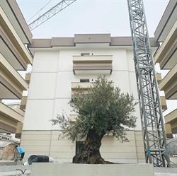 Residenza L’Ulivo
