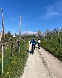 Peekaboo Rent E-Bike / Noleggio E-Bike