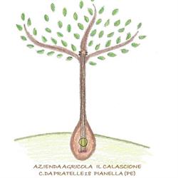 Az. Agricola "Il Calascione"