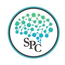 SP Consulting
