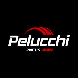 Pelucchi Pneus - Gommista a Montichiari