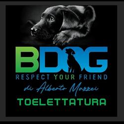 Bdog Toelettatura