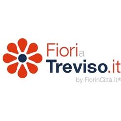 FioriaTreviso.it