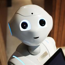 Digimaex