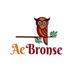 Ae Bronse
