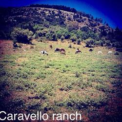 Caravello Ranch