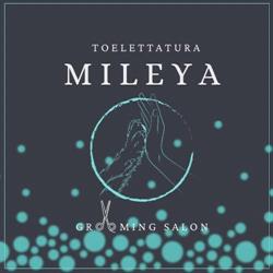 Toelettatura Mileya