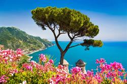 Amici della Campania