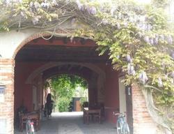 Trattoria La Pergola Di C. Pietro & Roberto S.n.c