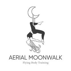 Aerial Moonwalk