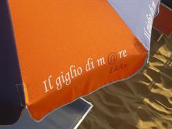 Il Giglio di Mare