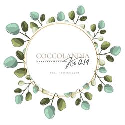 Coccolandia di Adami Delia