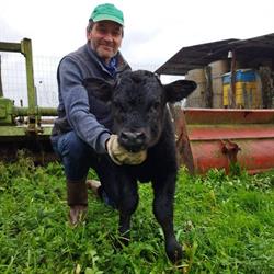 Azienda agricola Capri Angelo